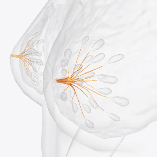 Картинка статьи