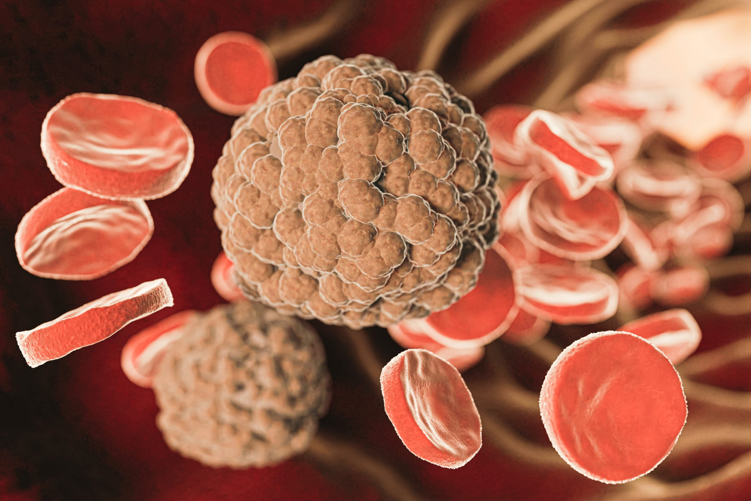 Холестерин: не враг, а союзник, который иногда путает дороги