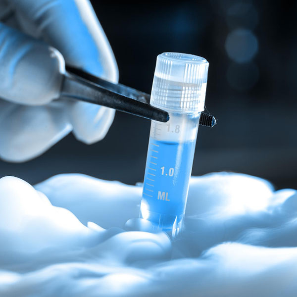 Криопротокол «под ключ» за 57050 р.