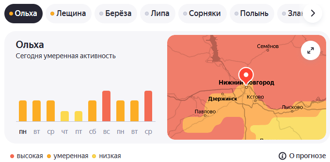 Ольха 30.03.26.png