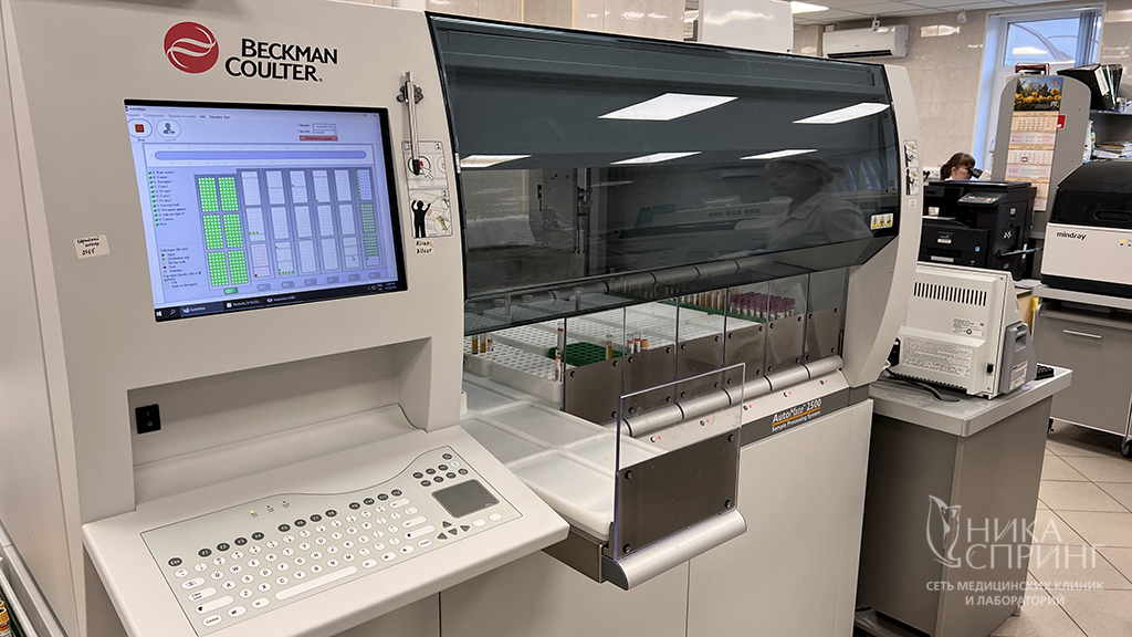 IMG_8894 статья.jpg