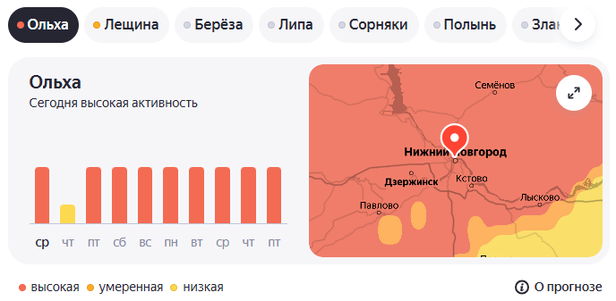 Ольха 08.04.26.png