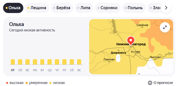 Ольха 27.03.26.png