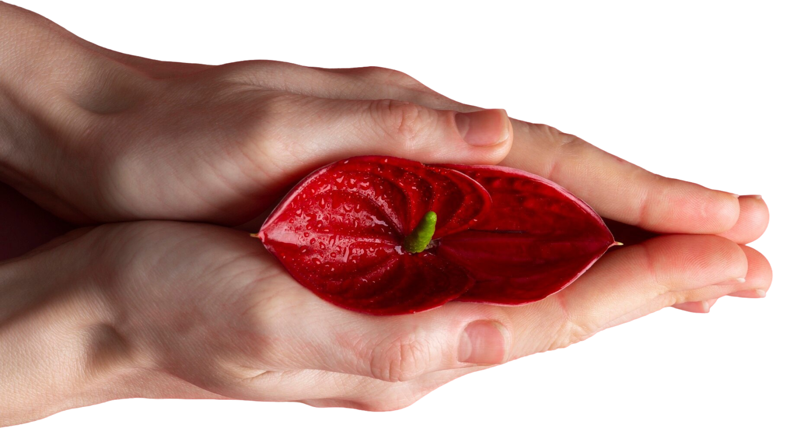 эстетическая гинекология раздел 3.png эстетическая гинекология раздел 3.png